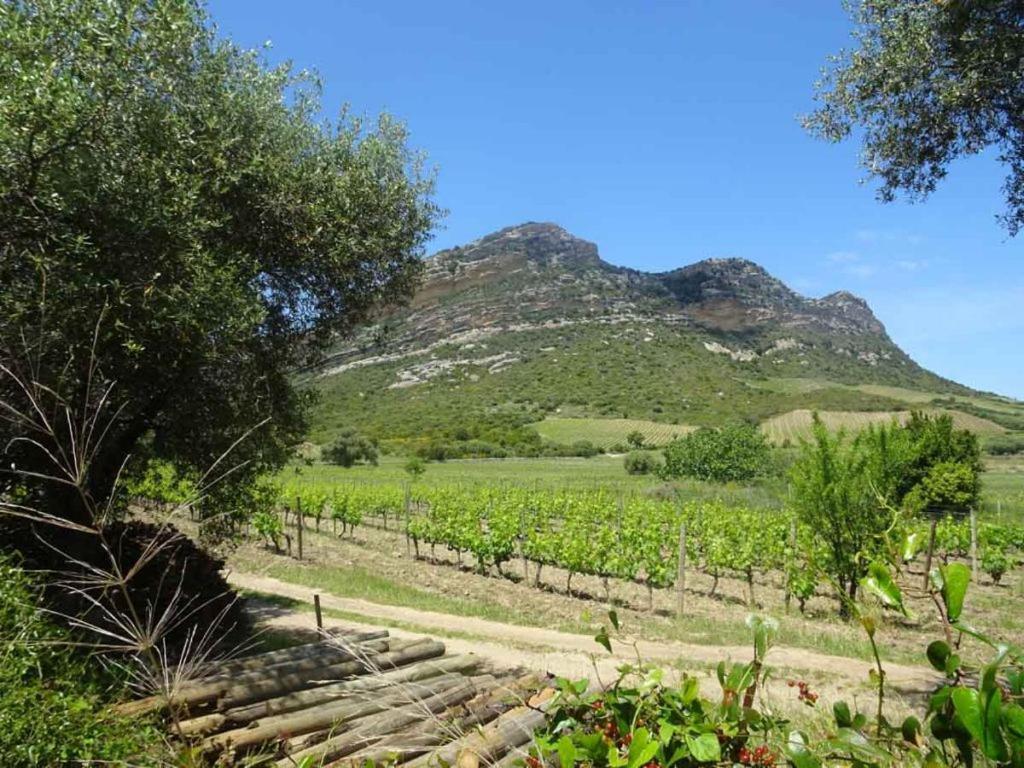 Jardin Et 2 Chambres Centre St Florent Saint-Florent  Zewnętrze zdjęcie